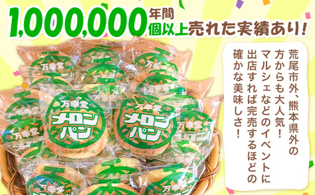 【6ヶ月定期便】パン メロンパン 季節のメロンパン 12個 セット 手土産 おすそ分け スイーツ パン ギフト 菓子パン 万幸堂 《お申込み翌月から出荷》熊本県 荒尾市 送料無料 ベーカリー おやつ 個包装 給食 でおなじみ！ 美味しいパン 手作りパン ベーカリーパン 焼きたてパン