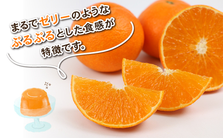 【12/5～12/15発送予定】 愛果28号 約4kg L~3L サイズ Shirai.agrifarm 先行予約 B020-115004