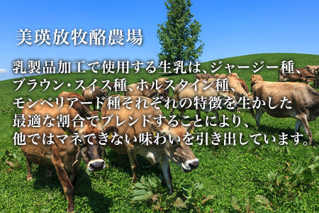  チーズ グランプリ受賞 100g×10個  北海道チーズ 本格的ハードチーズ   [045-18]