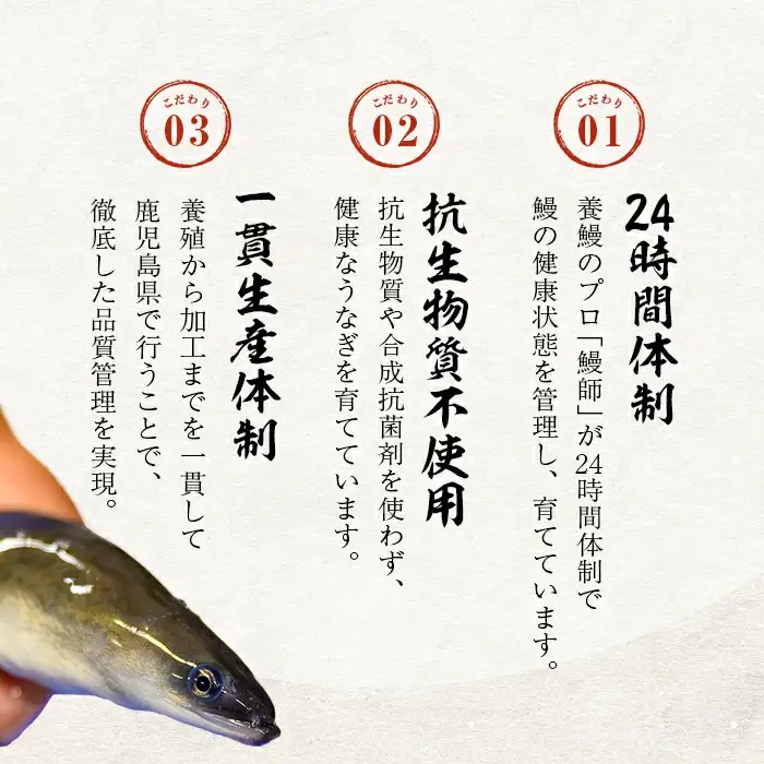 うなぎ 蒲焼 山田 鹿児島産 3尾 (計480g以上) 肝串セット 【ポータル限定】 a6-062-km