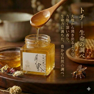 948.鳥取の花の香りを食卓へ。天然はちみつ3瓶セット（百花蜜、アカシア、トチ）67g×各1瓶（計3瓶） 蜂蜜 ハチミツ ハチ蜜 鳥取県産◇日本全国配送可能