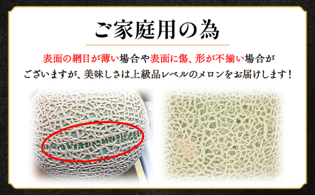 【11月以降順次配送】高知県産 マスクメロン ２玉 家庭用 【 赤肉青肉セット フルーツ くだもの フルーツ メロンの返礼品 】 香南市 tn-0026
