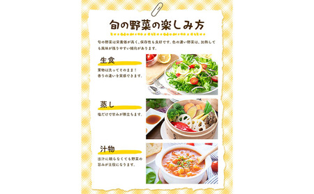 野菜 旬の野菜セット Lサイズ 約10～11種 《30日以内に出荷予定(土日祝除く)》 ベジLIFE!! 【配送不可地域あり】（沖縄・離島） 季節の野菜  料理 甘い 採れたて トマト 新玉ねぎ じゃがいも キャベツ 白菜 ベジライフ 千葉県 我孫子市