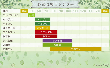 【毎月定期便3回】季節の野菜セット (8~10種)