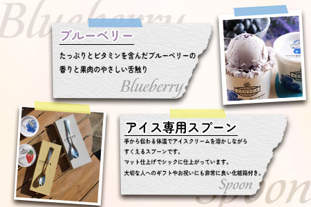 アイス ご当地アイス12個とアイス専用スプーン（ゴールド1本）の13点セット [AICN001]