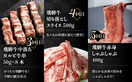 【固定月にお届け】飛騨牛 5回定期便 （スライス すき焼き しゃぶしゃぶ 焼肉 牛串 ）5回 お楽しみ 食べ比べ 牛肉 肉 和牛[Q1675yx]