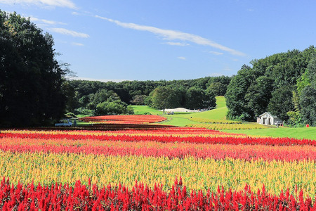 国営武蔵丘陵森林公園 入園引換券2名様分＋施設利用券2,000円分