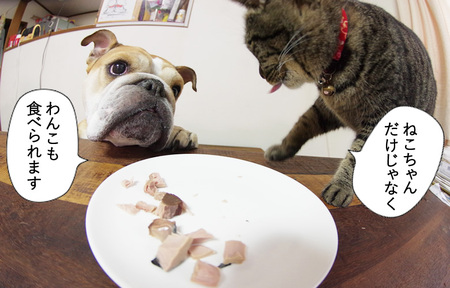 a17-096　スモークカツオ端材詰合せ　6点セット