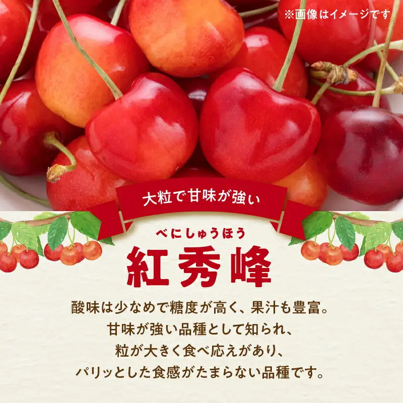 【先行予約：2026年初夏発送】さくらんぼ 毎年大好評！こだわりの東谷農園 余市産 さくらんぼ 1kg_Y037-0347