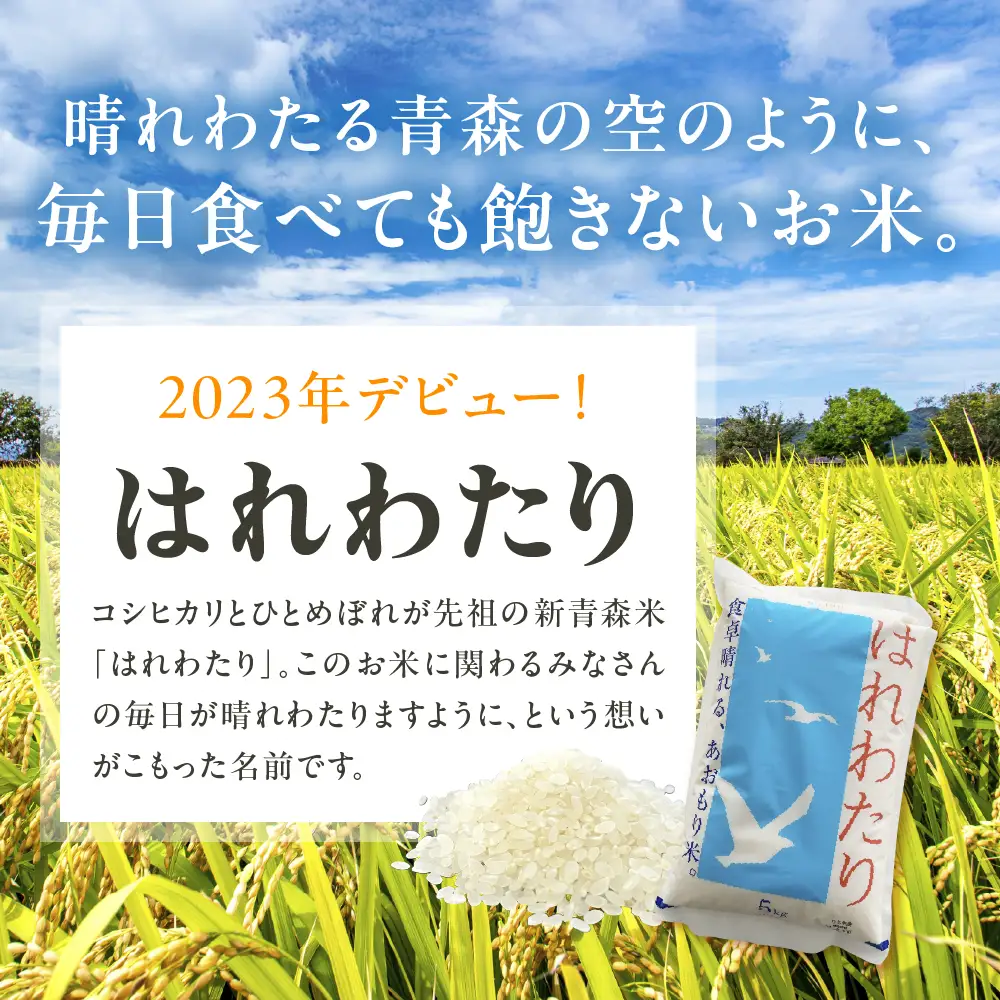 【2026年6月後半発送】米 はれわたり10kg（白米） 10キロ 青森県 五所川原市