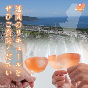 贅沢なリキュール　梅酒・柚子檸檬酒  ２本セット N076-YA972