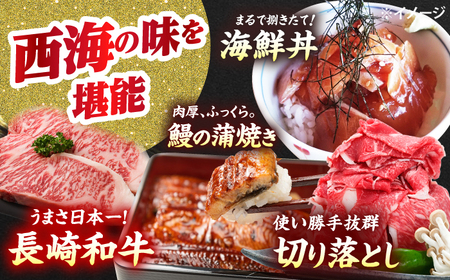 12回定期便 肉と海 西海の宝物定期便 西海市 | [CZZ022]