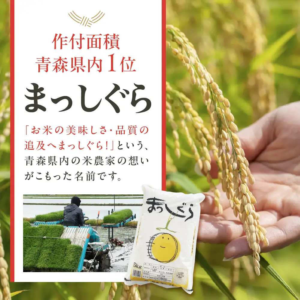 【2026年6月後半発送】まっしぐら10kg（白米）