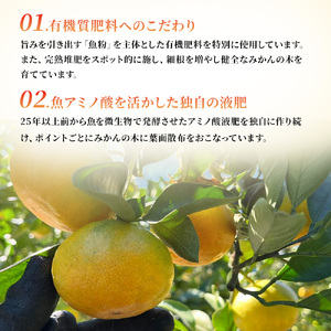 果樹園みかんの木の旬のカンキツ詰合せ 約4kg 【2026年4月下旬まで順次発送予定】 4～5種類 みかん 詰め合わせ 柑橘類 柑橘 いよかん ポンカン みかん フルーツ くだもの 果物 佐賀県 太良町 M103