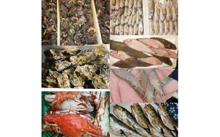N-161 有明海からの贈り物 新鮮 旬 魚介類 有明海 海鮮 贈り物 ギフト お歳暮 おせち