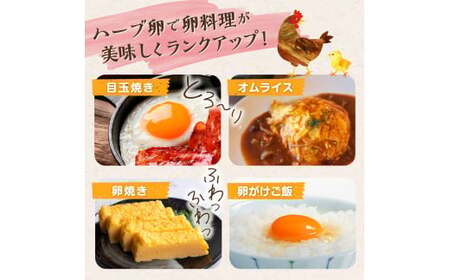 【12ヶ月定期便】たまご家のハーブ卵（笑顔）30個 鶏卵 生卵 たまご 卵 佐賀県 太良町 T26