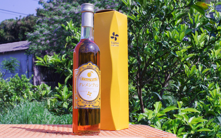 クレメンティンワイン 500ml × 1本 ワイン クレメンティン 甘口ワイン 柑橘系 柑橘類 蜜柑 みかん ミカン みかんワイン お酒 酒 アルコール アルコール飲料 佐賀県 太良町 常温 M11