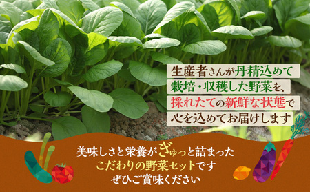 野菜 とれたて 季節の野菜 パック 8品前後 詰め合わせ セット 野菜セット 旬の野菜 旬 野菜詰め合わせ 野菜詰め合わせセット 産地直送 送料無料 たまねぎ にんじん じゃがいも ほうれん草 トマト キャベツ しいたけ 大根 白菜 冷蔵 静岡