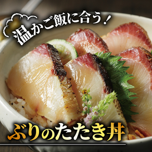 訳あり ぶりたたき ブロック 冷凍 合計 650g 岩塩 3袋 付き オンスイ ぶり ぶり ぶり ぶり ぶり ぶり ぶり 愛媛県 愛南町