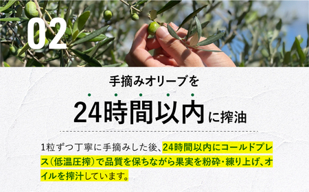【化粧箱】エキストラバージンオリーブオイル[EAI146]  エキストラバージンオリーブオイル えきすとらばーじんおりーぶおいる オリーブオイル エキストラバージン オイル おりーぶおいる おいる ギフト 贈答 化粧箱 国産 こくさん
