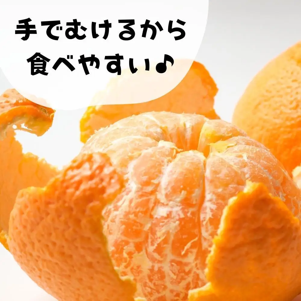 不知火 大玉 どっこいしょ 箱込 10kg (内容量約 9.2kg) 秀優混合 和歌山県産［みかんの会］