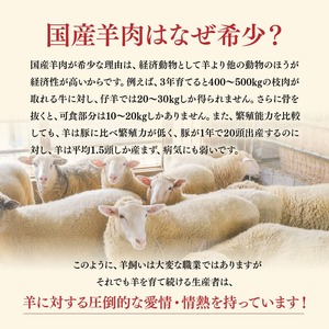 宮崎県産羊肉　寿ジンギスカン300g 【 肉 羊肉 国産 九州産 川南町産 ジンギスカン 羊 ひつじ 味付き 】