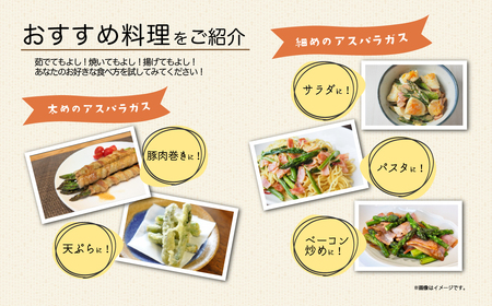 アスパラガス 1kg L～2Lサイズ 朝採り アスパラガス 夏芽 【先行受付】 【26年6月中旬～9月発送】