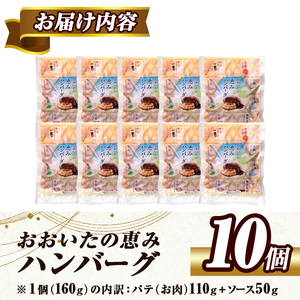 おおいたの恵みハンバーグ(計1.6kg・160g×10個)牛肉 豚肉 肉 デミグラスソース おかず 小分け 個包装 温めるだけ 【opng002】【全国農業協同組合連合会 大分県本部】