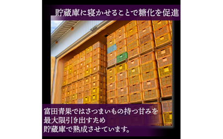 干し芋 紅はるか 1kg 干しいも 紅はるか ほしいも さつまいも 特産品 国産 富田青果 茨城 鉾田 おすすめ 人気 ギフト プレセント 送料無料 産地直送 旬 しっとり 美味しい 芋スイーツ 特産品 農家 菓子 和菓子 おやつ 和スイーツ おかし 和食