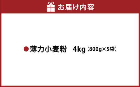 薄力小麦粉 肥後のいずみ 800g×5袋 計4kg 小麦粉 国産 国産小麦 小麦 料理 家庭用