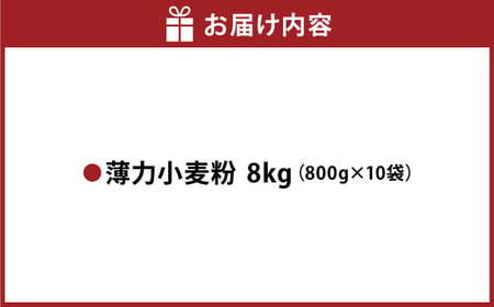 薄力小麦粉 肥後のいずみ 800g×10袋 計8kg 小麦粉 国産 国産小麦 小麦 料理 家庭用