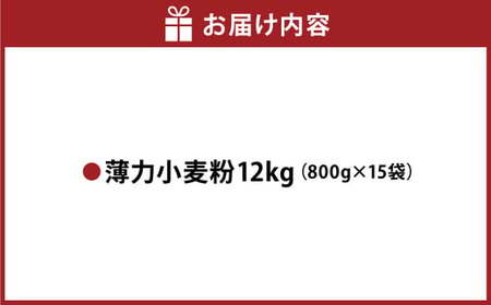 薄力小麦粉 肥後のいずみ 800g×15袋 計12kg 小麦粉 国産 国産小麦 小麦 料理 家庭用