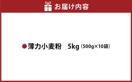 薄力小麦粉 肥後のいずみ 500g×10袋 計5kg 【保存しやすい便利なジッパー付！】小麦粉 国産 国産小麦 小麦 料理 家庭用