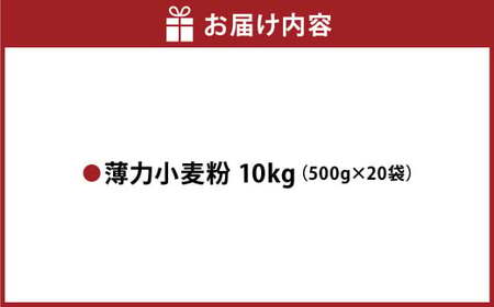 薄力小麦粉 肥後のいずみ 500g×20袋 計10kg 【保存しやすい便利なジッパー付！】小麦粉 国産 国産小麦 小麦 料理 家庭用