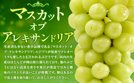 【2026年先行予約】くぼ農園 の ぶどう セレクション 約 2kg ( 3～4房 ) くぼ農園 《2026年9月上旬-10月上旬頃出荷(土日祝除く)》マスカット 送料無料 岡山県 浅口市 マスカット フルーツ 果物 贈り物　シャインマスカット ニューピオーネ 瀬戸ジャイアンツ 