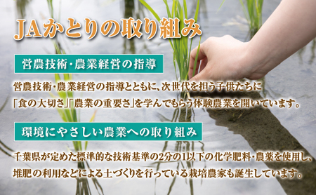JAかとり直送コシヒカリ 精米20kg（5kg×4）千葉県産 令和7年産 神崎町 [001-a005]