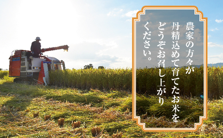 JAかとり直送 ふさおとめ 精米10kg（5kg×2） 千葉県神崎町産 令和7年産 [001-a006]