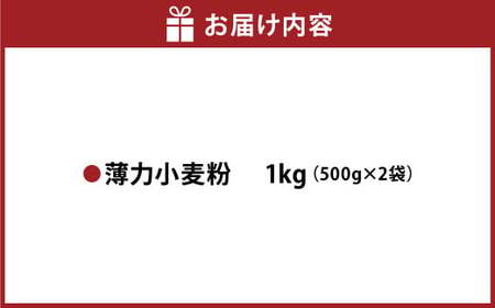 薄力小麦粉 肥後のいずみ 500g×2袋 計1kg 【保存しやすい便利なジッパー付！】小麦粉 国産 国産小麦 小麦 料理 家庭用
