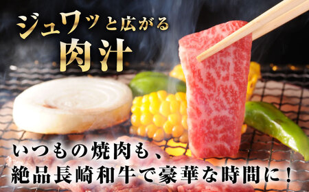 【全6回定期便】【A4～A5ランク】長崎和牛 焼肉用 上カルビ 500g《壱岐市》【野中精肉店】 牛 牛肉 和牛 赤身 焼肉 焼肉用 カルビ BBQ バーベキュー ギフト 贈答用 冷凍配送 A4 A5 [JGC037]
