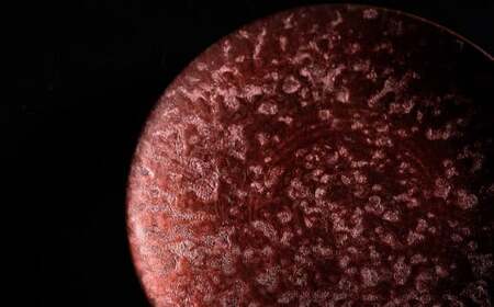 【煌めきの一枚が特別を演出】有田焼 麟 Lin 15.5cm 小皿 2枚セット (Red)【金照堂】プレート 小皿 食器 ハレの日 おもてなし 有田焼 ディナー 赤色 レッド A27-12