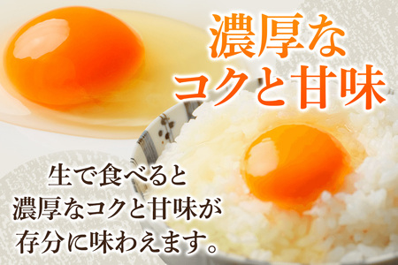 あやめ卵 160個入 【農場HACCP認証】 【JGAP認証】