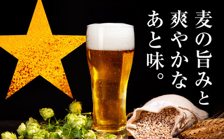 サッポロビール 黒ラベル 500ml 24缶  生ビール 缶ビール 大分県日田市  ARDC008