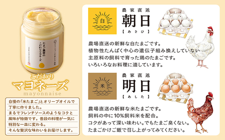 ココテラスの満喫セット ココテラス デイリーファーム セット カステラ マドレーヌ マヨネーズ たまご 卵 朝日 明日 スイーツ お菓子 プレゼント 贈り物 ギフト ギフトセット お取り寄せ 愛知県 常滑市