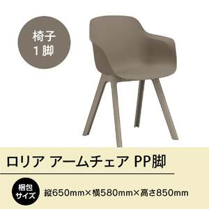 椅子 アダル ロリア アームチェア ウォームグレー PP脚 P3003-1WJ [um40azo830047] 椅子