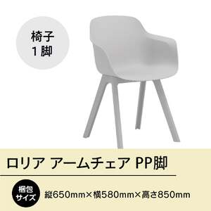 椅子 アダル ロリア アームチェア オフホワイト PP脚 P3003-1WW [um40azo830048] 椅子