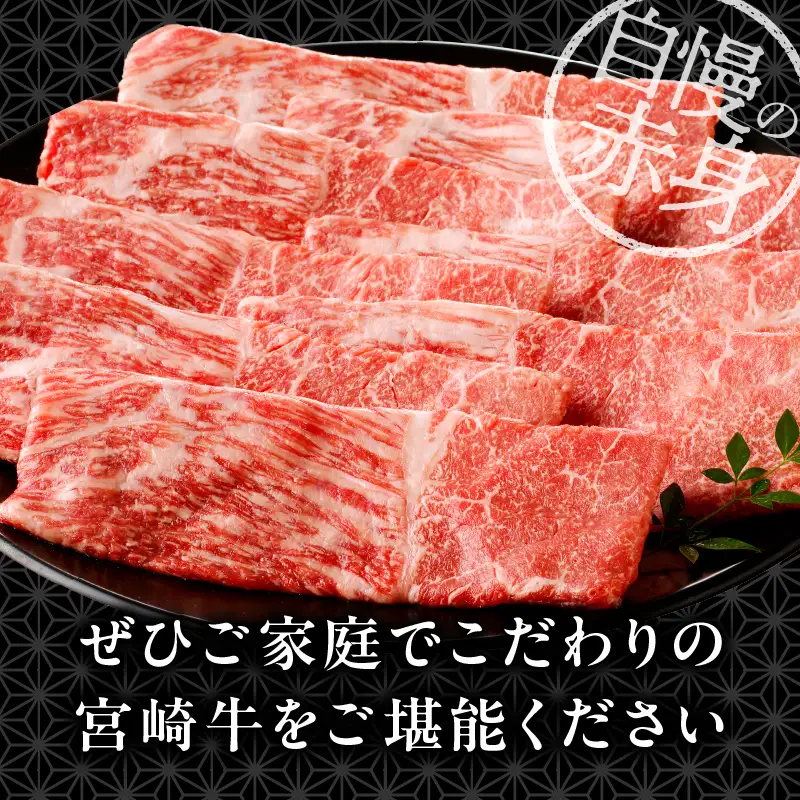 【ふるなび限定】 牛肉 宮崎牛 1kg 牛肉 FN-Limited-VO