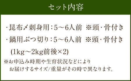 長崎の森で育てた『幻のクエ』 【セット】昆布〆 刺身用 5～6人前、鍋用 5～6人前 (1kg～2kg前後×2) ／ 海鮮 魚介 高級魚 刺身 刺し身 鍋 お鍋 セット クエ 養殖 長崎県 長崎市