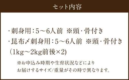 長崎の森で育てた『幻のクエ』 【セット】刺身用5～6人前、昆布〆 刺身用 5～6人前 (1kg～2kg前後×2) ／ 海鮮 魚介 刺身 刺し身 クエ 高級魚 長崎県 長崎市