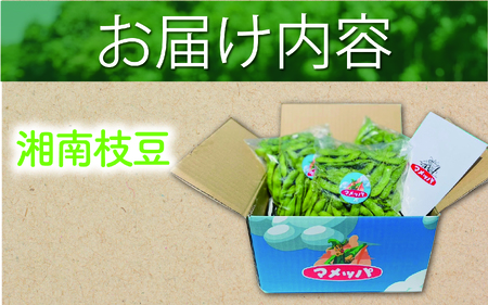 湘南枝豆 1.8kg【 枝豆 】 