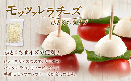 花畑牧場 フレッシュチーズ2種セット（メダルモッツァレラ 約500g＋モッツァレラひとくちタイプ 約500g）【A91】モッツァレラチーズ 北海道産